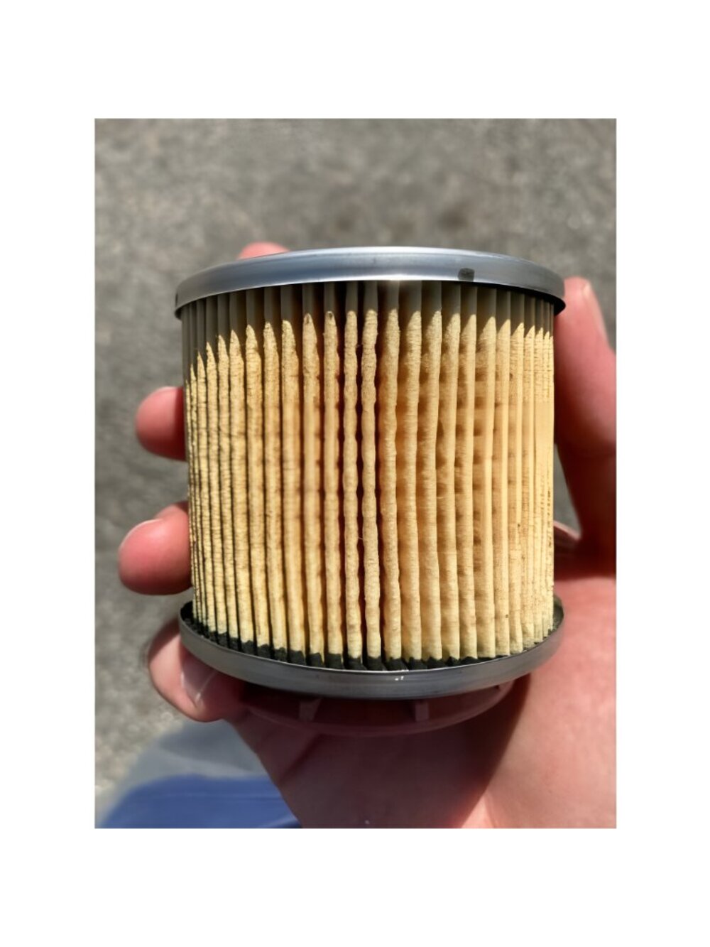 Oil Filter - Picture 2 of 2